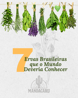 7 Ervas Brasileiras que o Mundo Precisa Conhecer