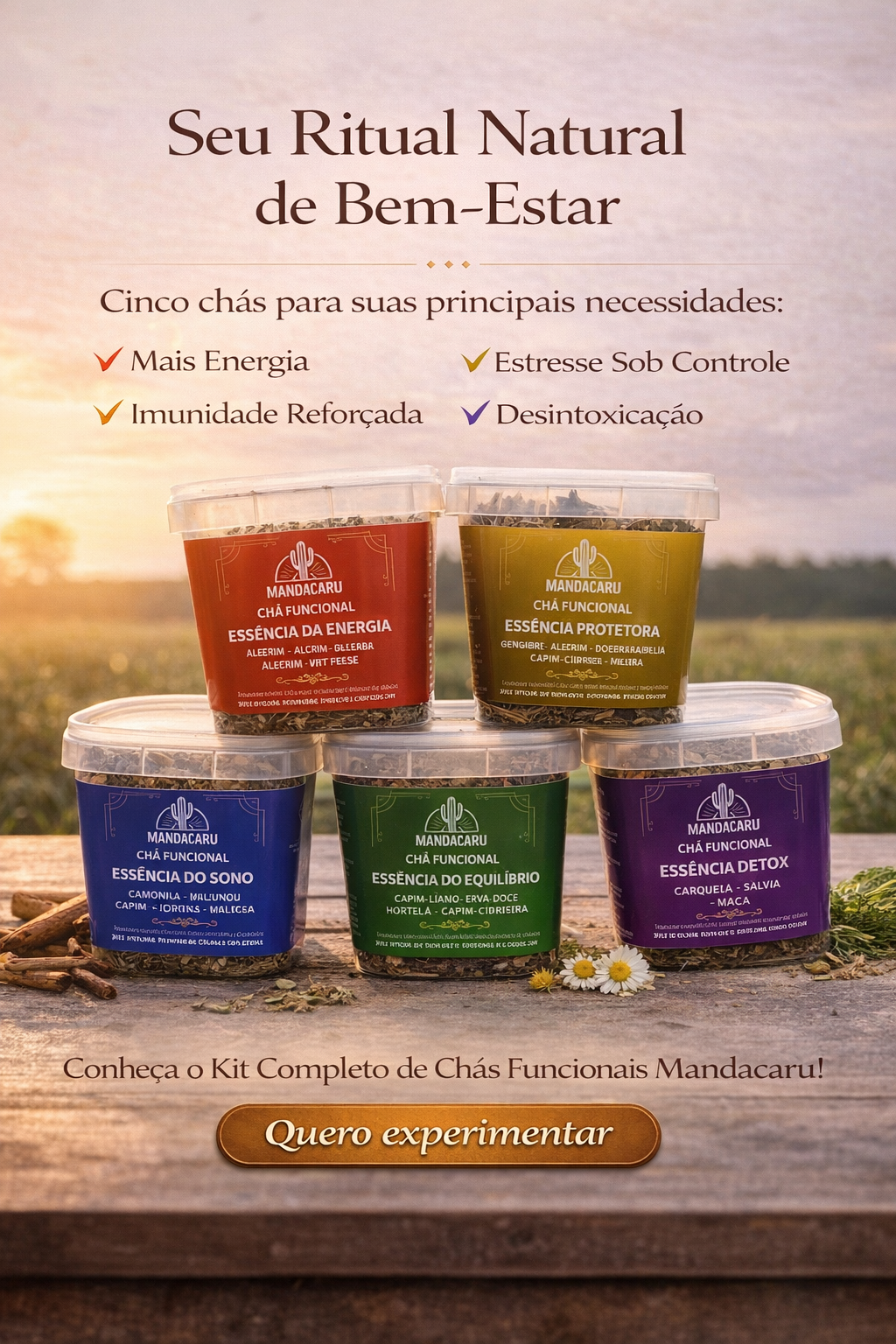 Kit de Chás Naturais Mandacaru – 5 Essências Artesanais